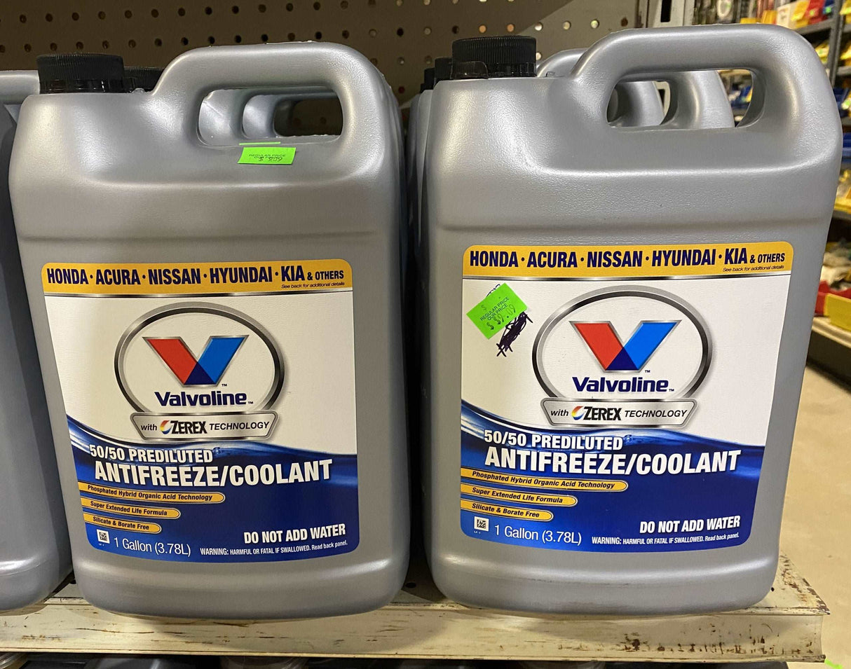 50/50 PREDILUTED ANTIFREEZE 1 GALLON IN-STORE-PICKUP-ONLY - FreemanLiquidators