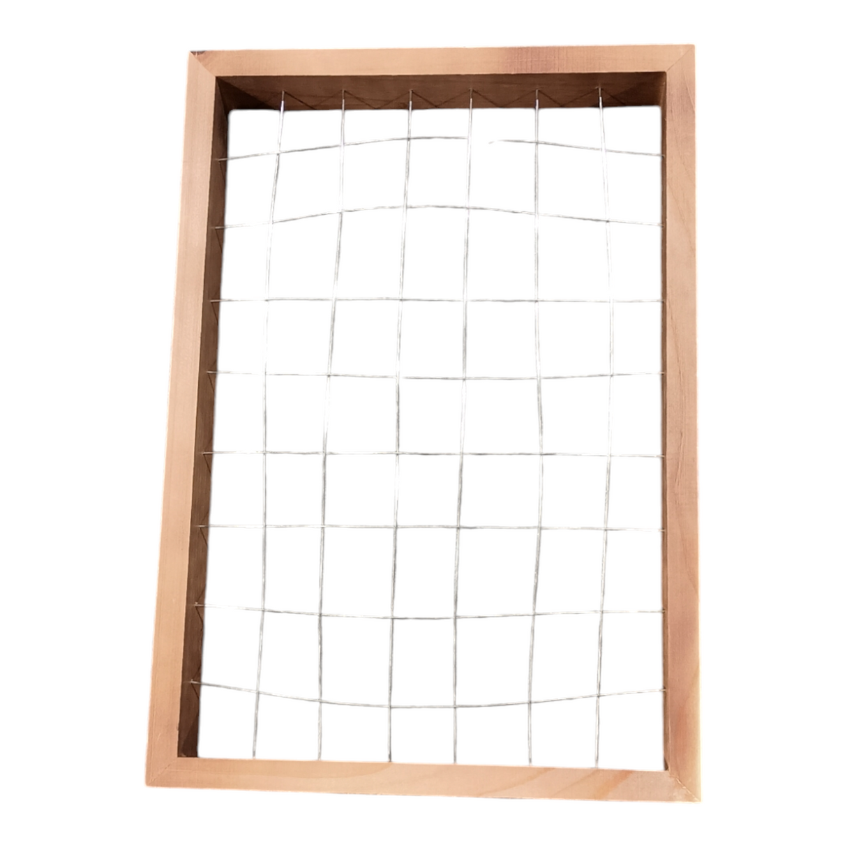 Mkono, Air Plant, Frame, 16x11 - Freeman Liquidators