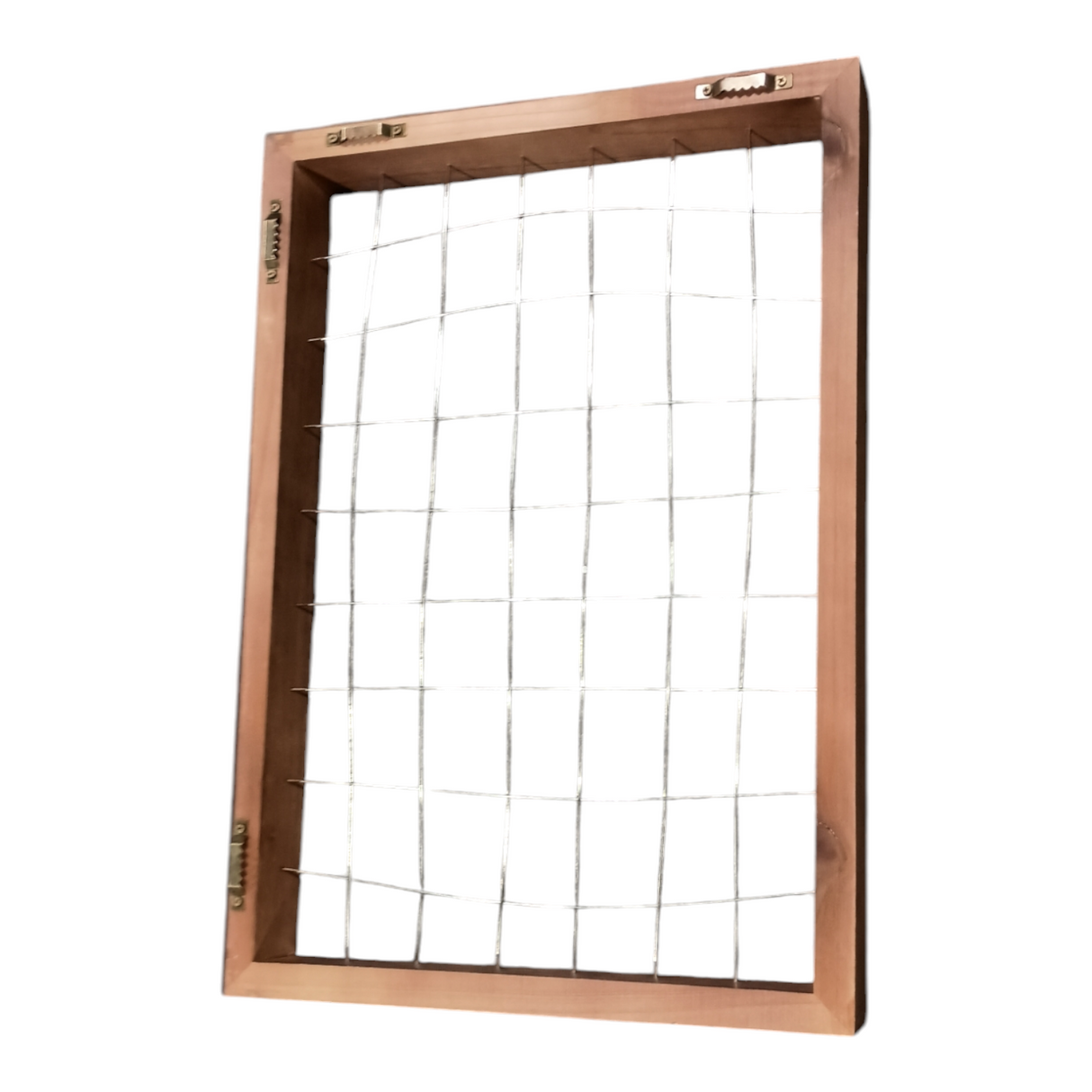 Mkono, Air Plant, Frame, 16x11 - Freeman Liquidators