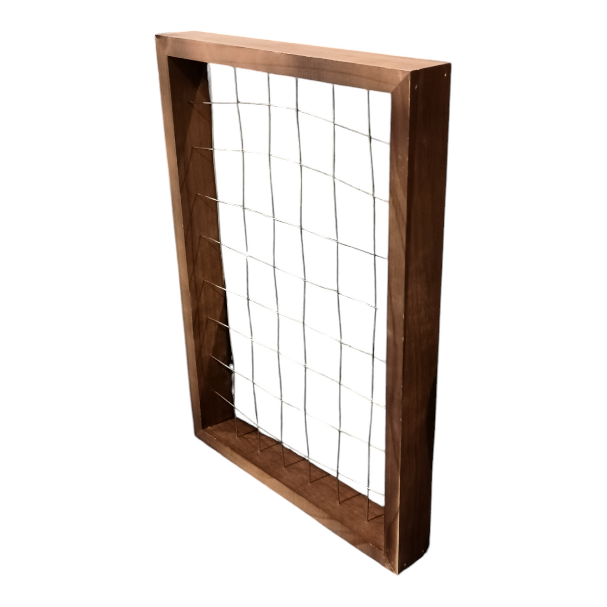 Mkono, Air Plant, Frame, 16x11 - Freeman Liquidators