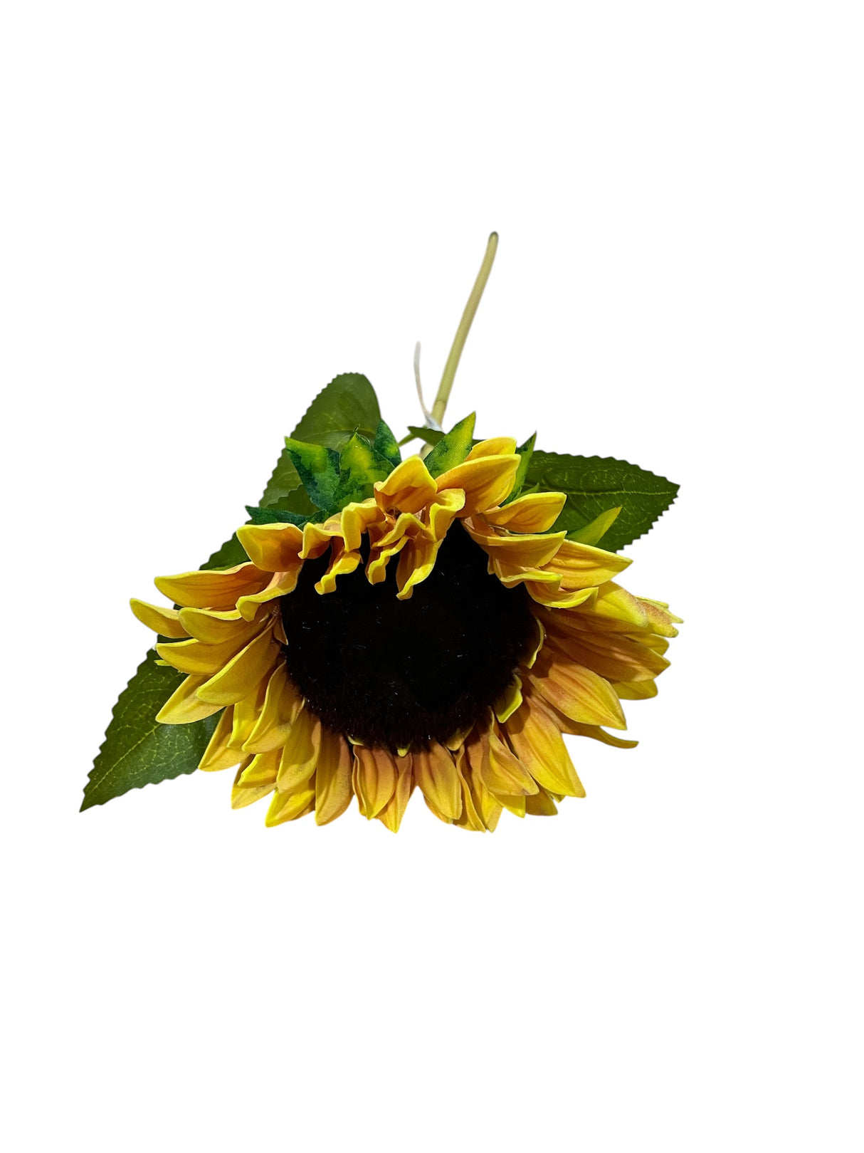Porch View, Field Sunflower, 7”x7"x49”