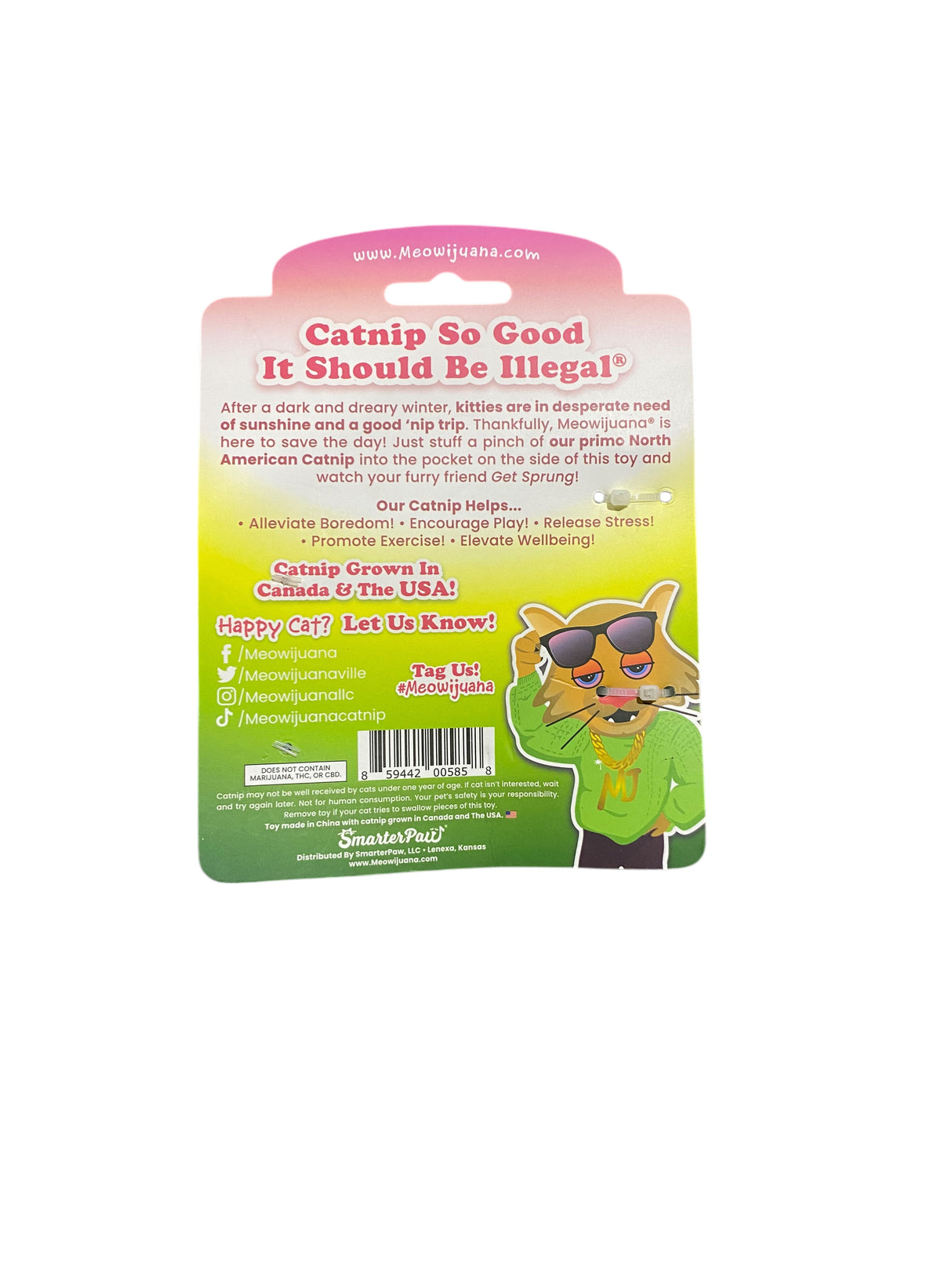 Get Sprung, Mushroom, Refillable, Cat, Toy - Freeman Liquidators