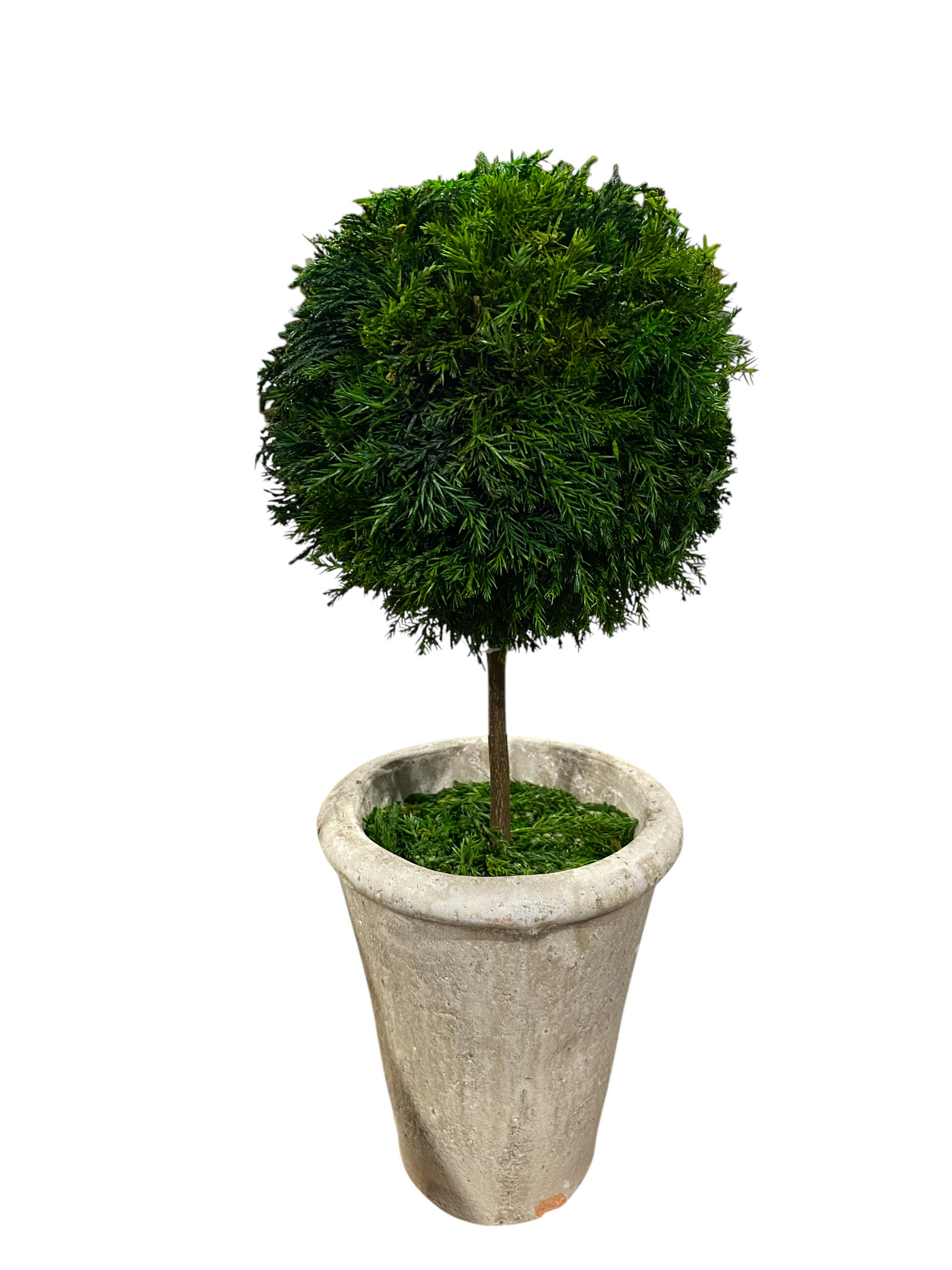 Single, Ball, Topiary - Freeman Liquidators