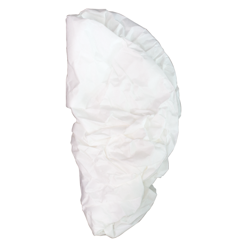 Filter for P475 (2 PK) 54149