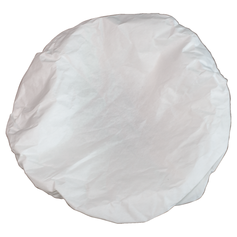 Filter for P475 (2 PK) 54149