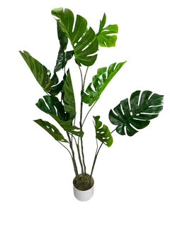 Garvee, Artificial, Monstera Plant, 3.6 ft - DOMESTIC - Freeman Liquidators - [product_description]