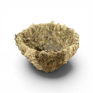 Topiary 10” Hanging Sphagnum Moss Basket