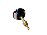 Burnham, #6052810, WTR TRM, Relief Valve, 8-10, (30#), V9A - FreemanLiquidators - [product_description]