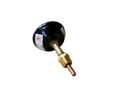 Burnham, #6052919, WTR TRM, Relief Valve, 11-12, (30#), V9A - FreemanLiquidators - [product_description]