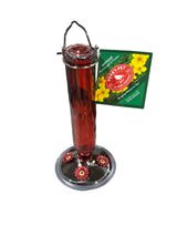 Perky-Pet, 8109-2, Antique, Glass, Bottle, Hummingbird, Feeder, 16-Ounce, Red - Freeman Liquidators