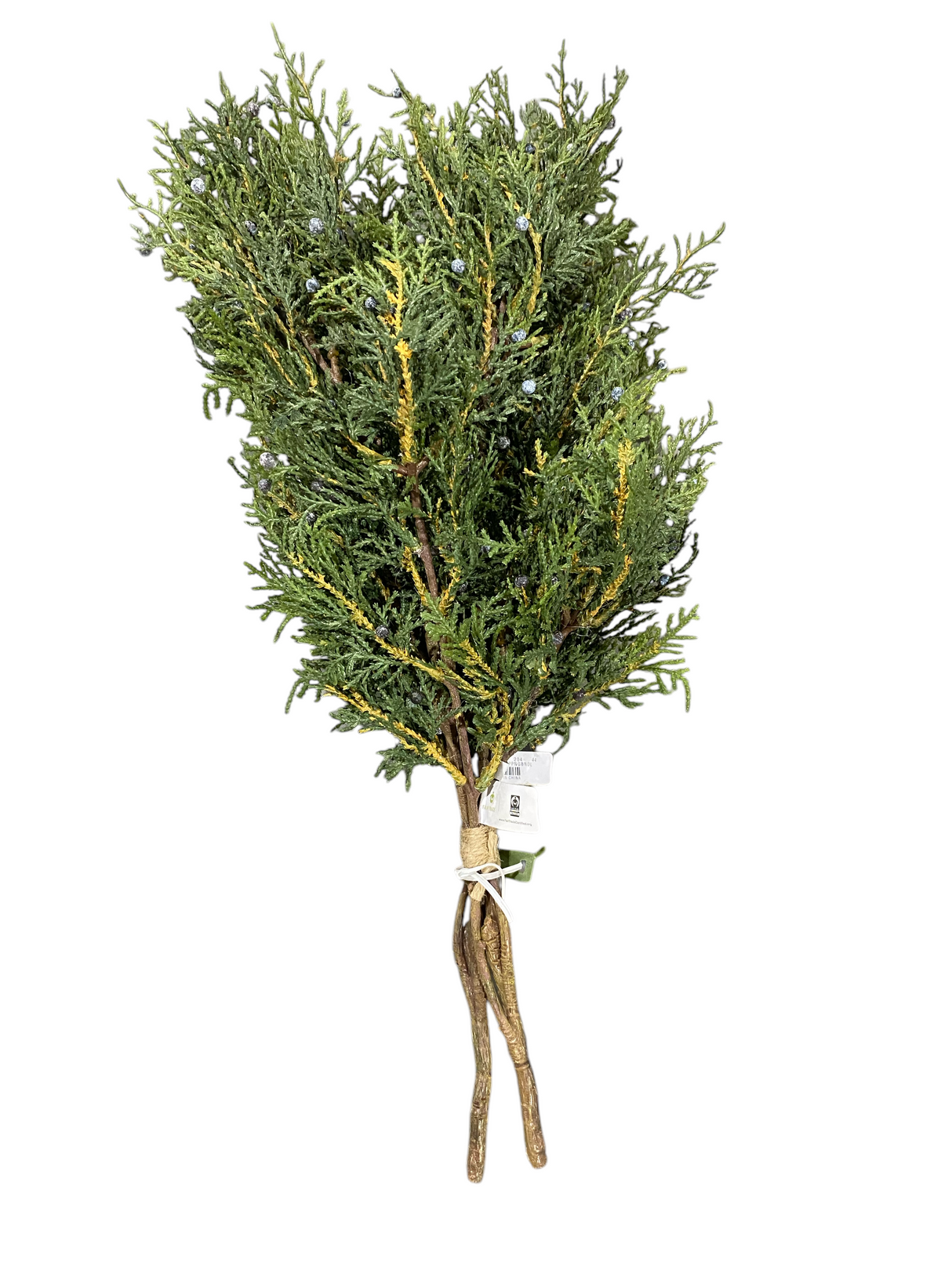 Pottery Barn, Faux Juniper Clippings Bundle - Freeman Liquidators - [product_description] - DECOR