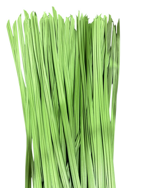 J2 Outdoors, Last Grass Hunting Blind Grass, Early Season Green, 5lbs - Hunting Blinds - Freeman Liquidators - [product_description]