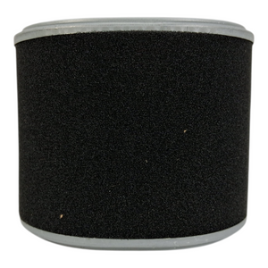 Luber‑Finer LAF5023 Heavy‑Duty Radial‑Seal Air Filter - Air Filters - Freeman Liquidators - [product_description]