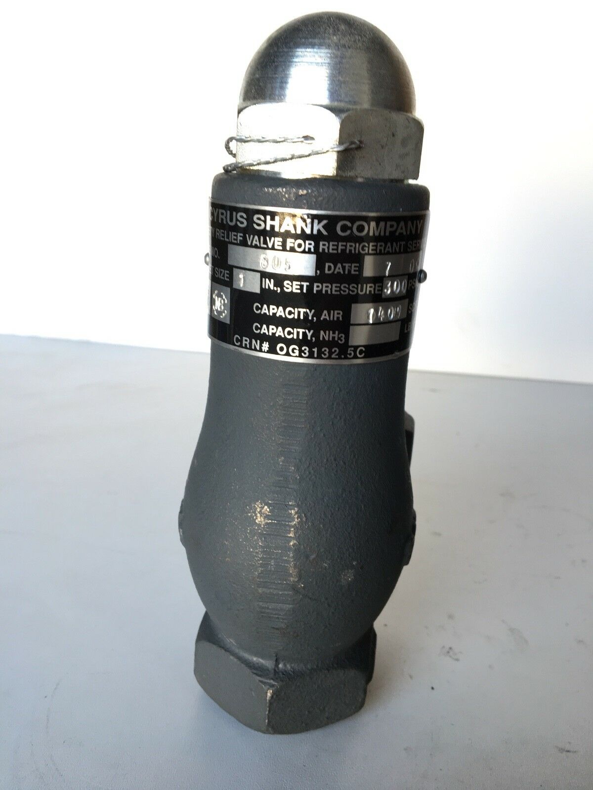 CYRUS SHANK Relief Valve, 805, 1", 300PSI *NEW* - FreemanLiquidators