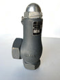 CYRUS SHANK Relief Valve, 805, 1", 300PSI *NEW* - FreemanLiquidators