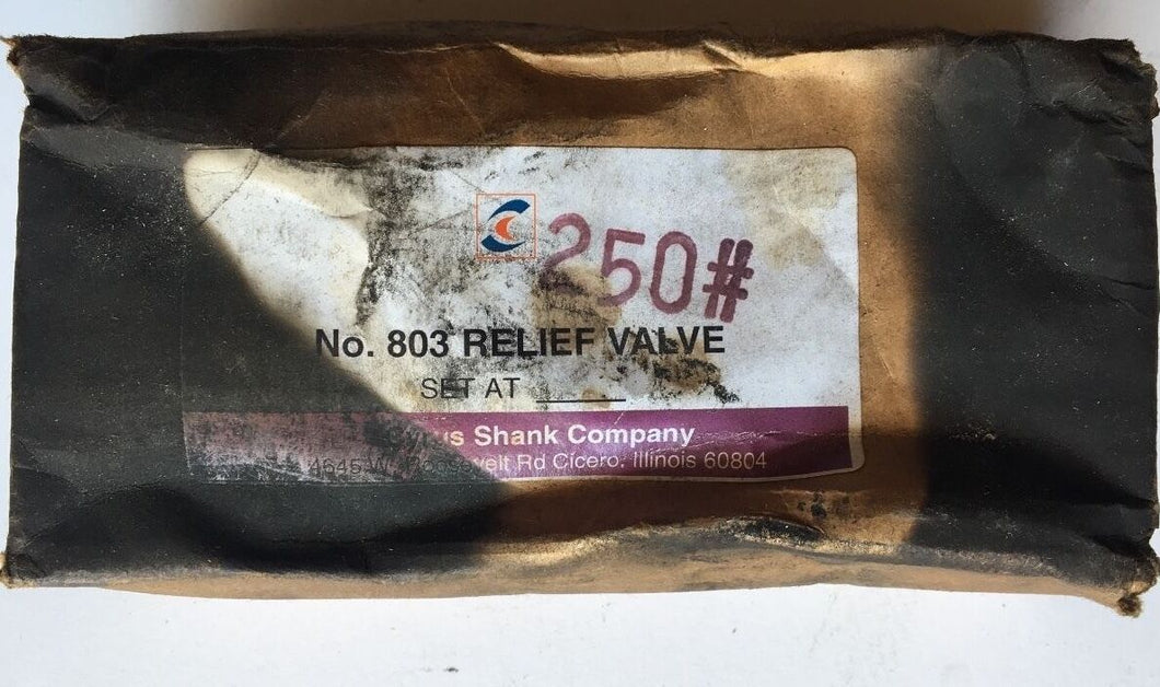 New Cyrus Shank Company No. 803 Relief Valve 250# - FreemanLiquidators