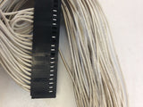 Frick Cable Assembly Display 640B0036H01 - FreemanLiquidators