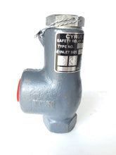 Load image into Gallery viewer, CYRUS SHANK COMPANY 803 RELIEF VALVE 1/2&quot; INLET 150 PSIG  *NEW* - FreemanLiquidators
