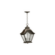 Quorum International 7452-2-46 Artisan's Grove Two Light Outdoor Pendant from the Foxhall Collection