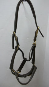 Walsh Lexington Cob Halter 9046