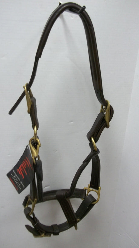 Walsh Lexington Cob Halter 9046