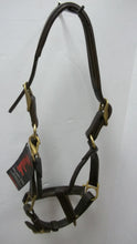 Load image into Gallery viewer, Walsh Lexington Cob Halter 9046
