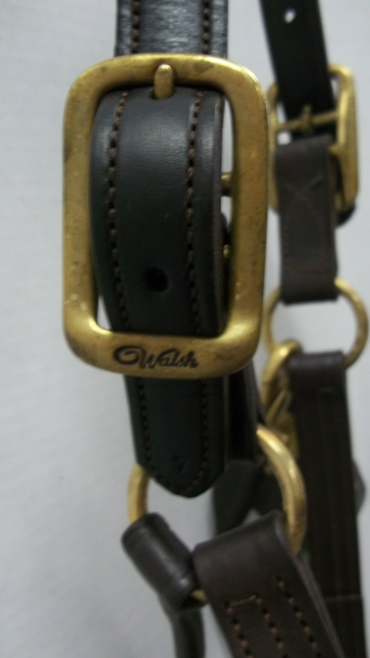 Walsh Lexington Cob Halter 9046