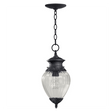 Quorum International 7905-1-93 Charcoal Single Light Outdoor Pendant from the Bonfils Collection